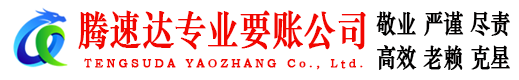 海盐收账公司